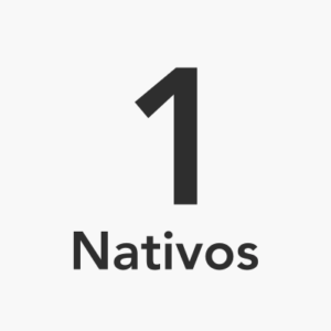 1 Aula avulsa com Nativos