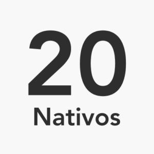 Pacote de 20 aulas com professores nativos