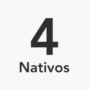 Pacote de 4 aulas com professores nativos